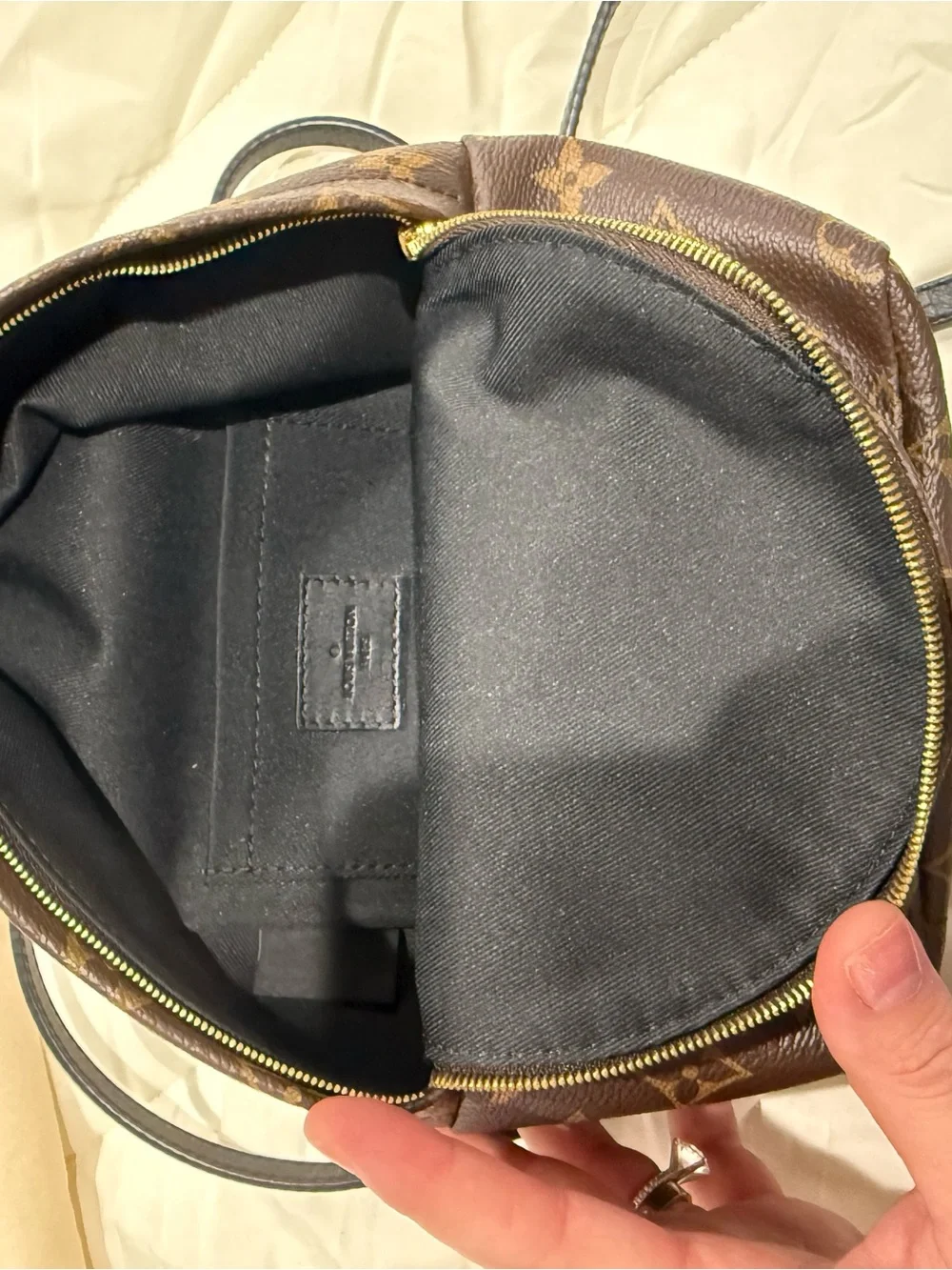 Louis Vuitton palm spring mini